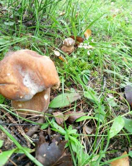 Фото: паблик 