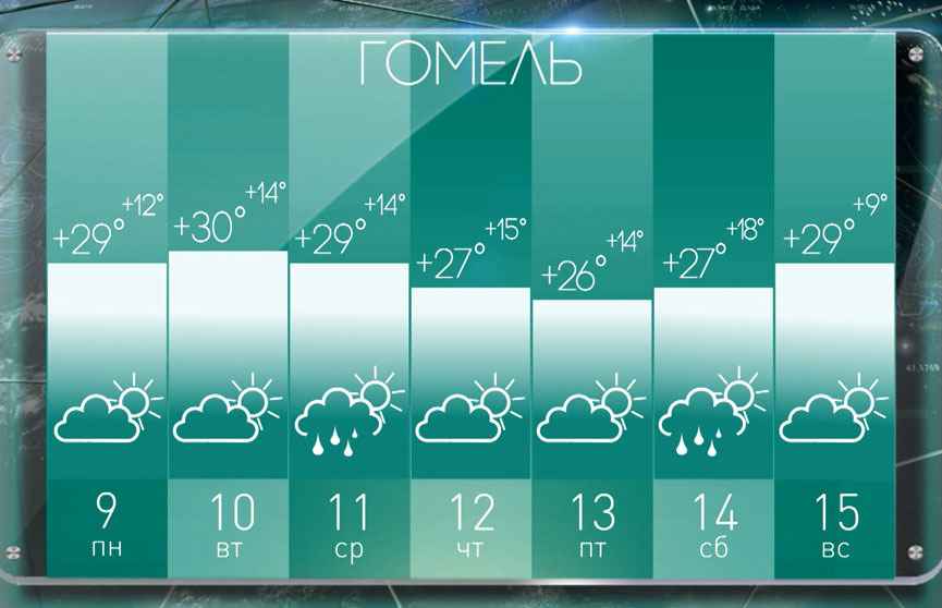 Инфографика ОНТ