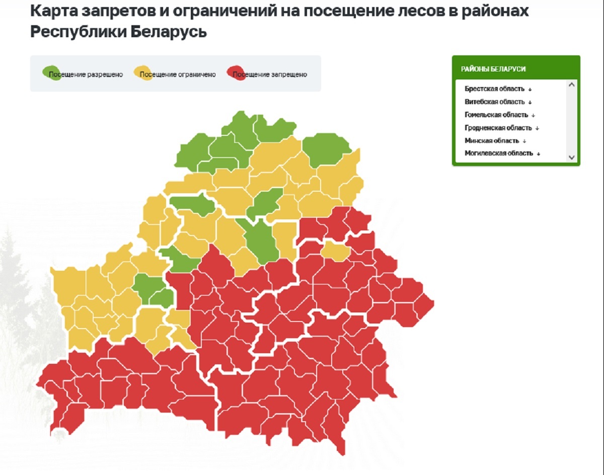 Синоптики продлили на три дня красный уровень опасности на Гомельщине из-за жары. А что в других регионах?