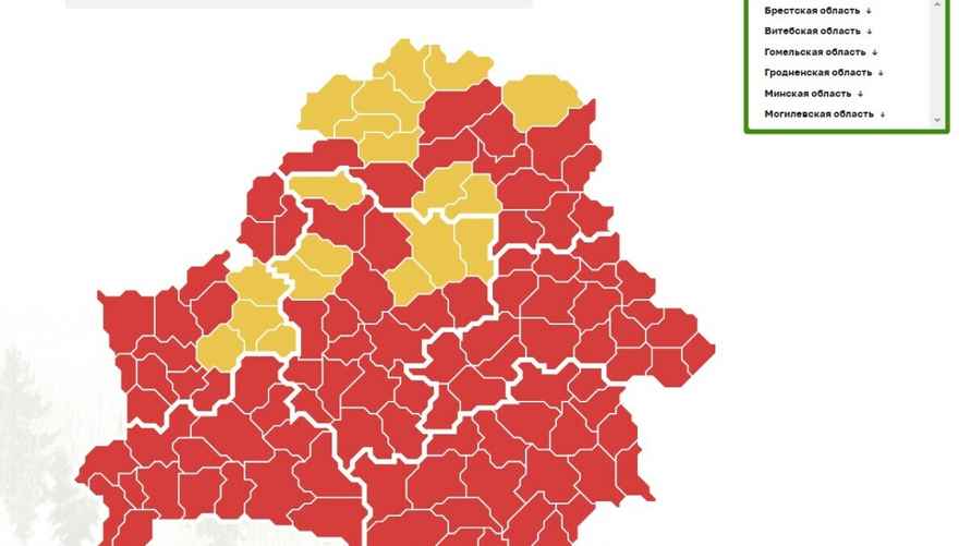 Скриншот: mlh.by