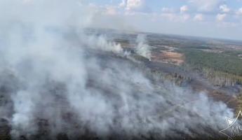 Второй за сутки. В МЧС сообщили о лесном пожаре площадью свыше 11 гектаров в Жлобинском районе