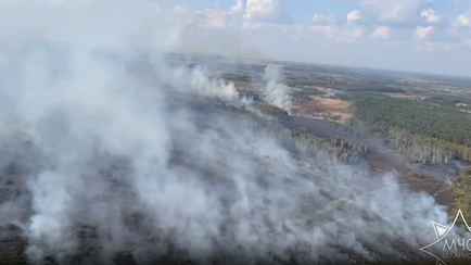 Второй за сутки. В МЧС сообщили о лесном пожаре площадью свыше 11 гектаров в Жлобинском районе