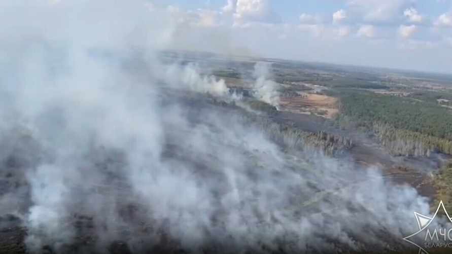 Второй за сутки. В МЧС сообщили о лесном пожаре площадью свыше 11 гектаров в Жлобинском районе
