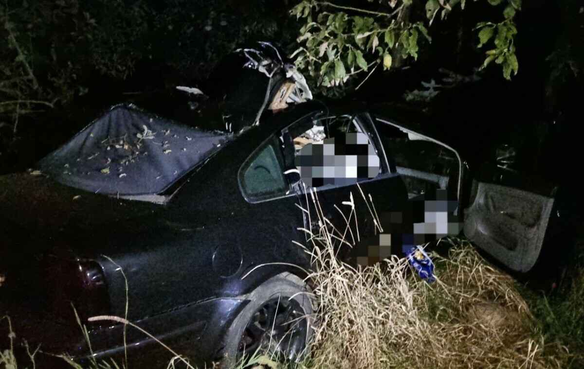 Фото: ГАИ Витебской области 