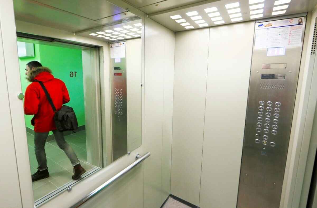 Фото носит иллюстративный характер