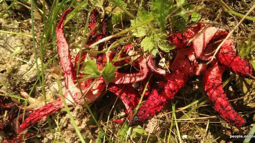 "Пальцы дьявола" под Заславлем