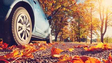 ГАИ предупредила белорусов об опасной «плёнке» на осенних дорогах. К чему ещё сказала готовиться?