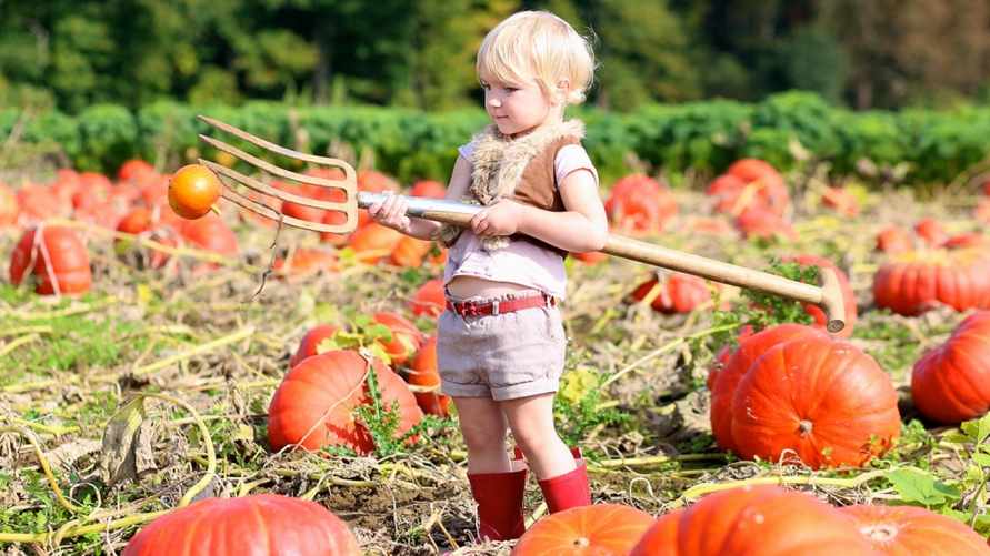 Фото иллюстрационное