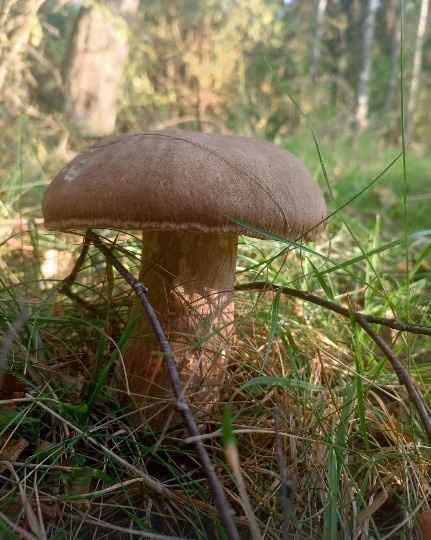 Фото: паблик 