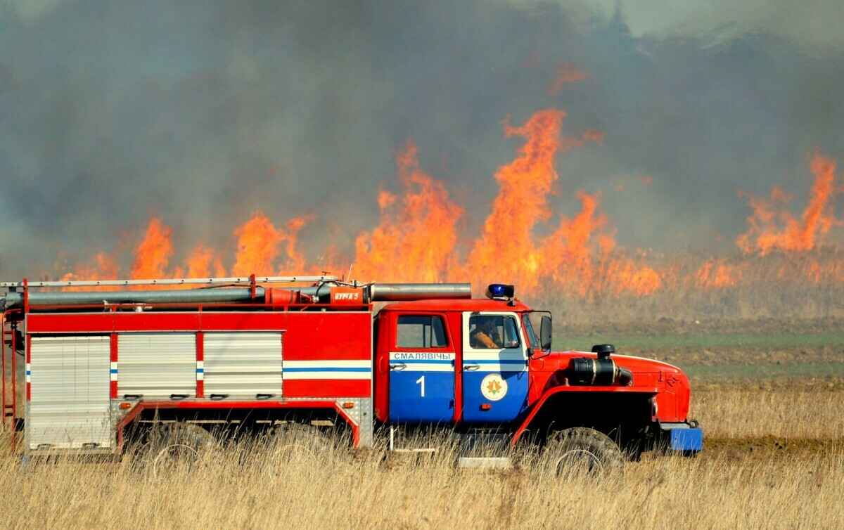 Синоптики продлили красный уровень пожароопасности на 2 дня для 3 областей Беларуси