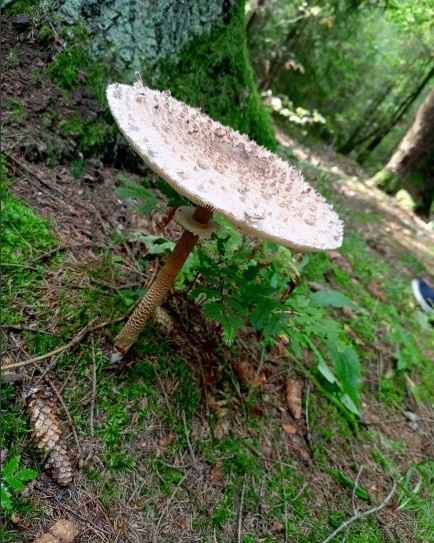 Фото: паблик 