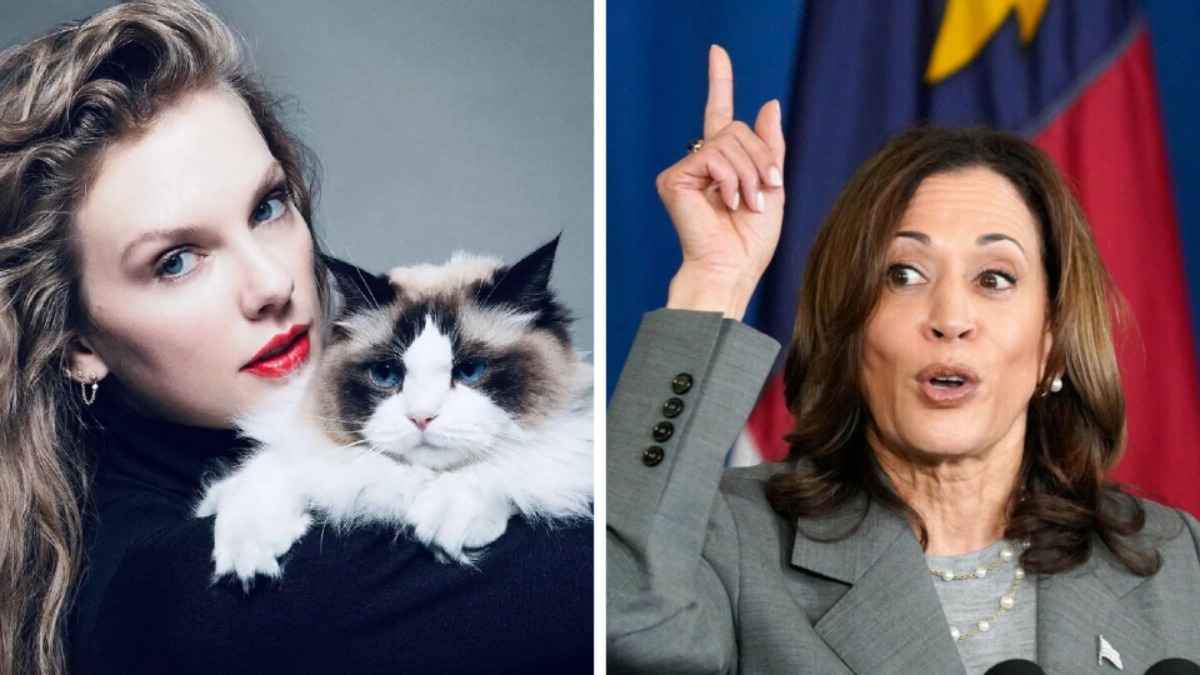 "Бездетная кошатница" Тейлор Свифт поддержала кандидатуру Харрис на пост президента США