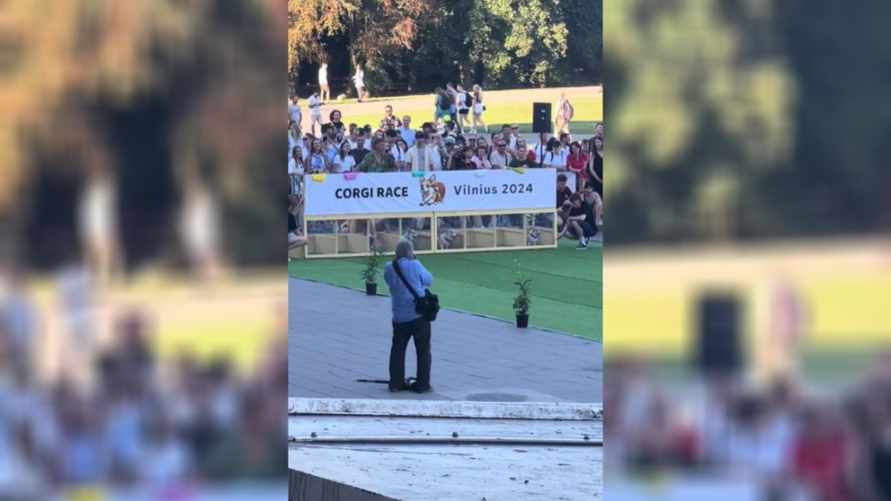 В Вильнюсе устроили забег корги. Но все пошло не так