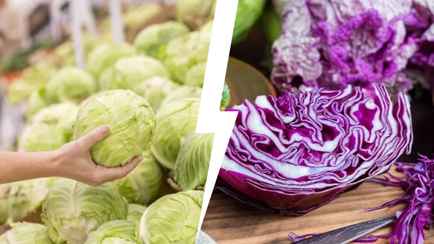 В чем разница между белой и красной капустой? Вот какую лучше квасить, а какую бросать в суп