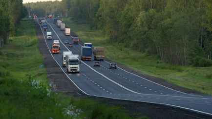 До 6 лет тюрьмы. В ГАИ предупредили белорусских водителей об ответственности за «незаконную охоту» на дорогах
