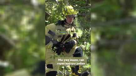 «За сколько секунд придет штраф?» — В МЧС рассказали белорусам, что делать, если «горят костры рябин»