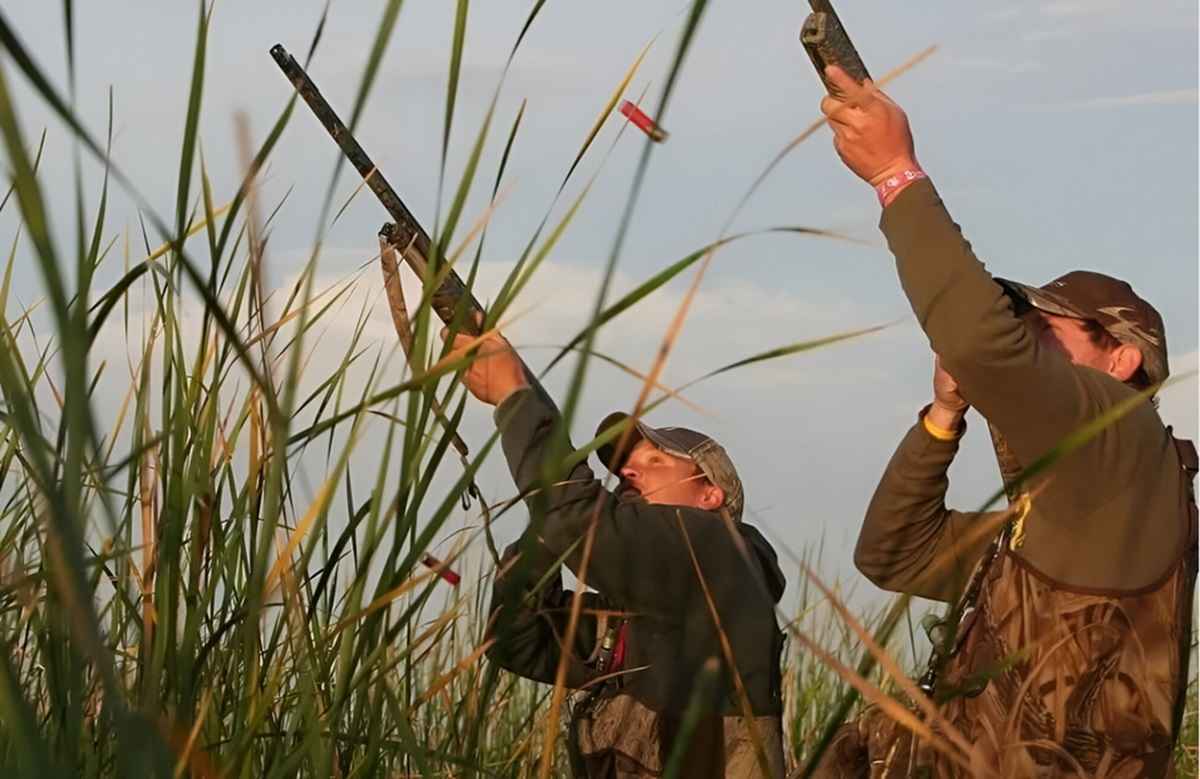 Фото иллюстрационное