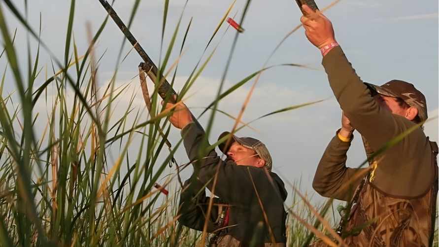 Фото иллюстрационное