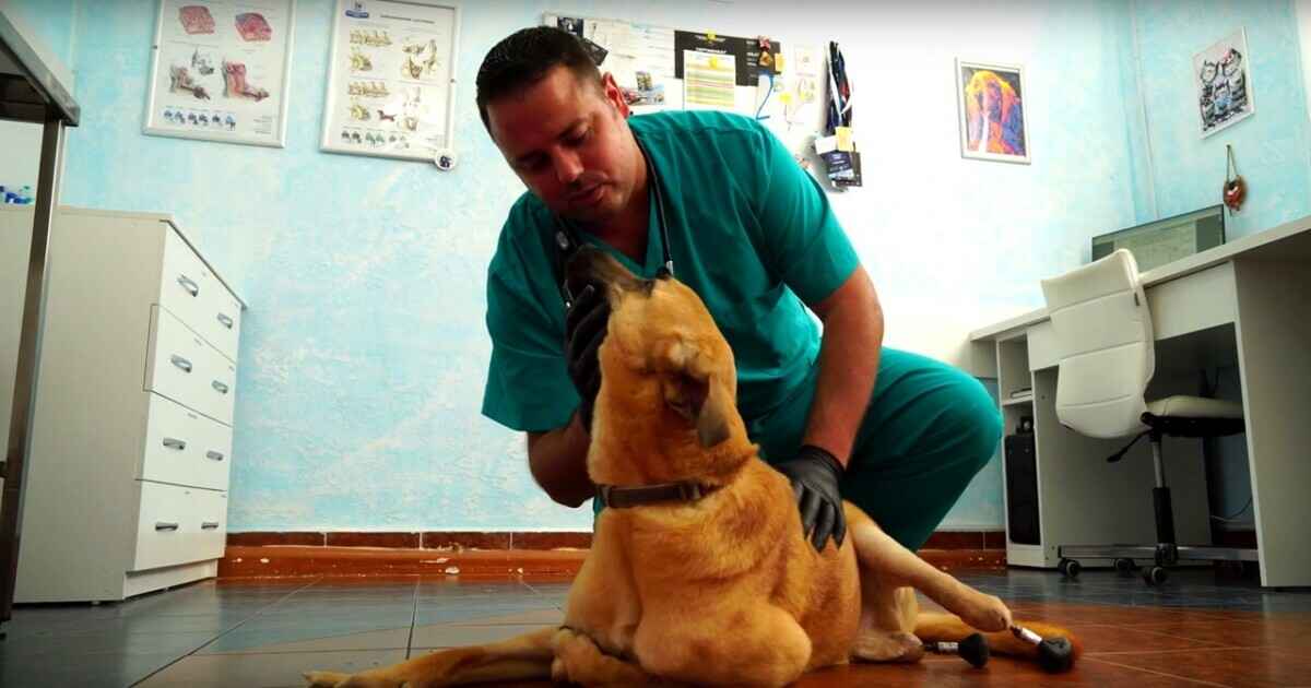 Скриншот видео "Лида ТВ"