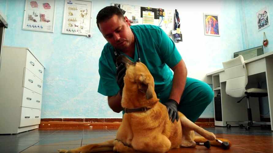 Скриншот видео "Лида ТВ"