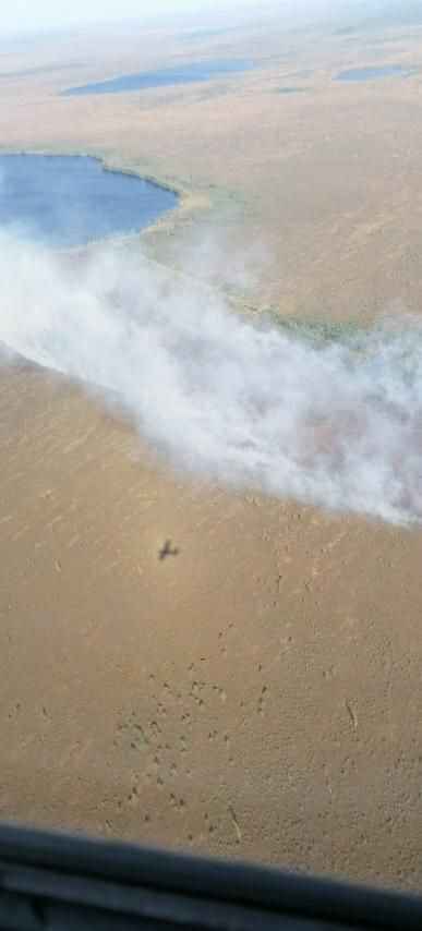 Минлесхоз отчитался о ликвидации пожара на болоте Ельня. Вот как выглядит теперь уникальный заказник