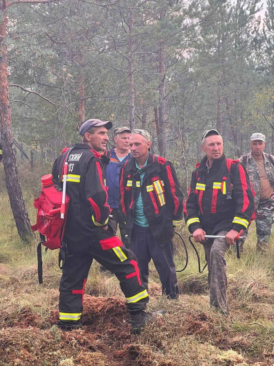 Минлесхоз отчитался о ликвидации пожара на болоте Ельня. Вот как выглядит теперь уникальный заказник