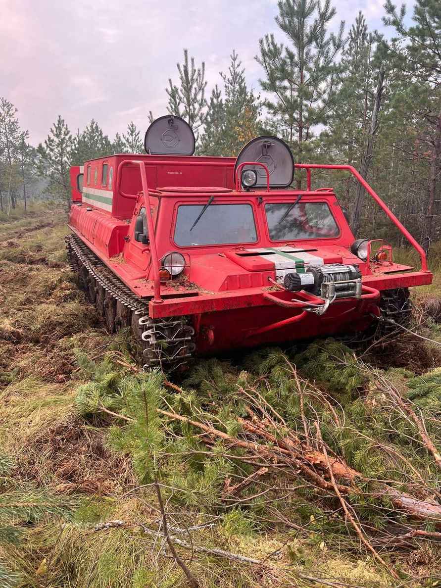 Минлесхоз отчитался о ликвидации пожара на болоте Ельня. Вот как выглядит теперь уникальный заказник