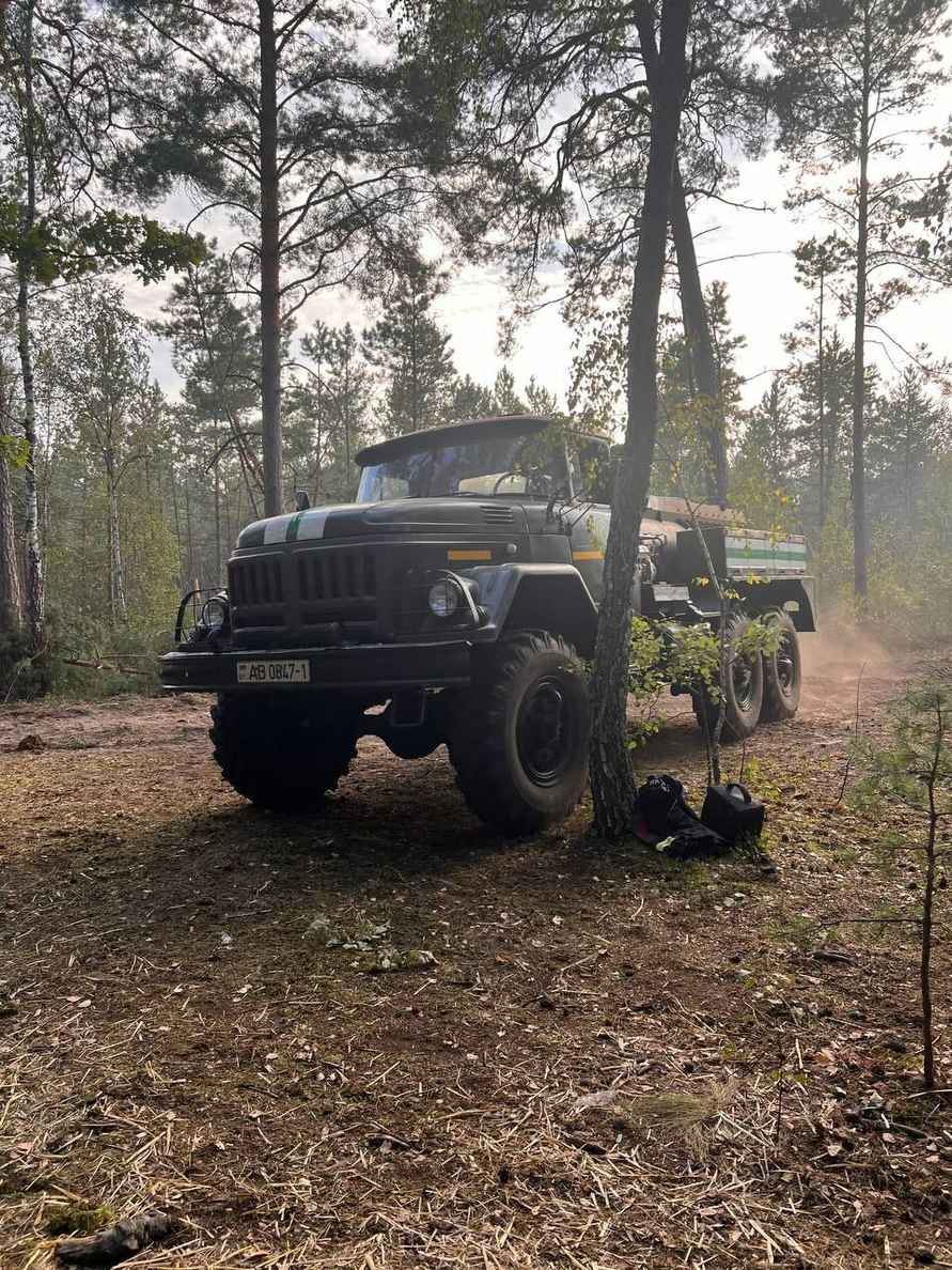 Минлесхоз отчитался о ликвидации пожара на болоте Ельня. Вот как выглядит теперь уникальный заказник