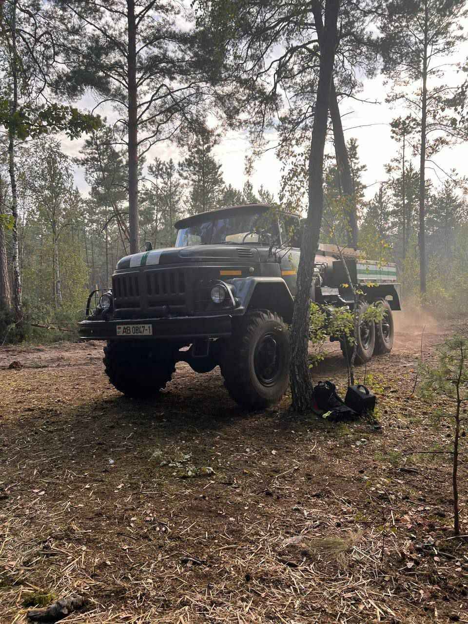 Минлесхоз отчитался о ликвидации пожара на болоте Ельня. Вот как выглядит теперь уникальный заказник