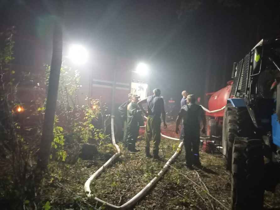 Минлесхоз отчитался о ликвидации пожара на болоте Ельня. Вот как выглядит теперь уникальный заказник