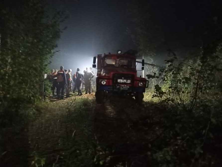 Минлесхоз отчитался о ликвидации пожара на болоте Ельня. Вот как выглядит теперь уникальный заказник