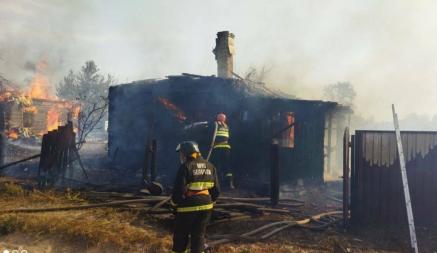 В МЧС Беларуси сообщили, что огнём были уничтожены