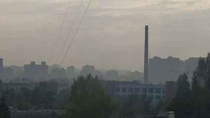 В Чернобыльской зоне загорелся лес на площади 20 гектаров