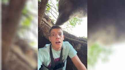 Блогер показал, как залез в берлогу к медведю и оказался «на грани жизни». Пользователи TikTok засомневались