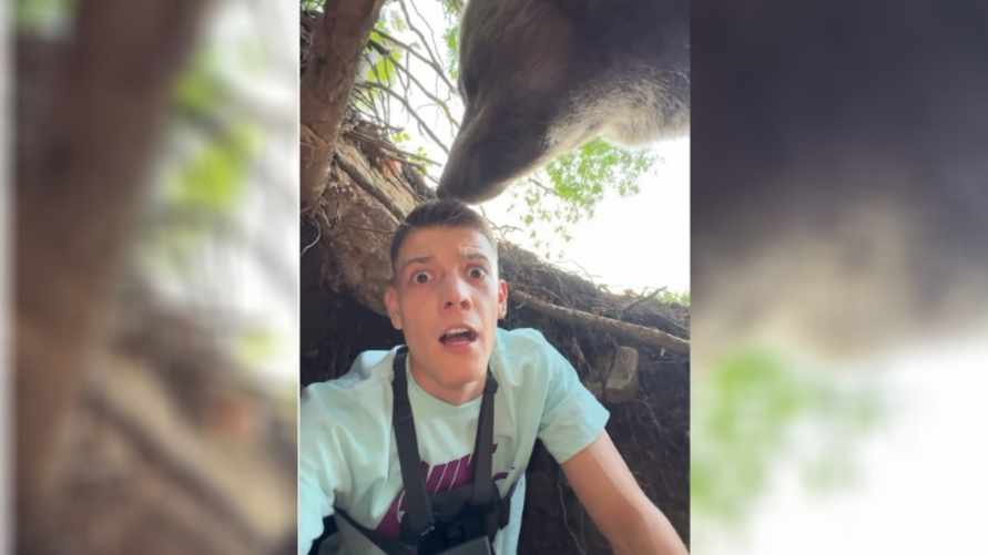 Блогер показал, как залез в берлогу к медведю и оказался "на грани жизни". Пользователи TikTok засомневались