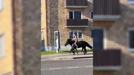 «Ковбой с двумя мустангами» из Пинска покорил пользователей TikTok