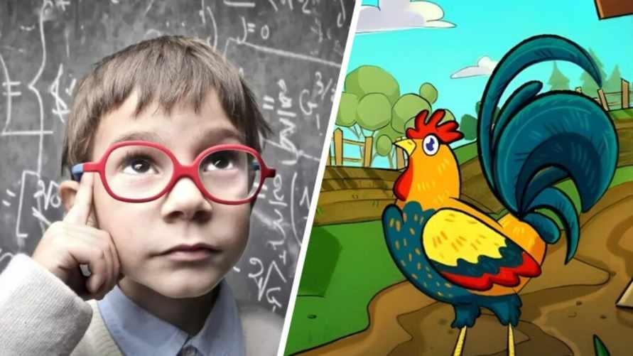 Здесь точно есть ошибки? Эта головоломка с петухом проверит вашу логику