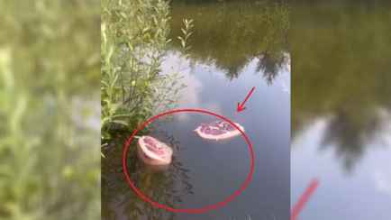 «Кто-то шашлыки замачивает?» — Белоруска пожаловалась на плавающее мясо в водоёме под Сморгонью