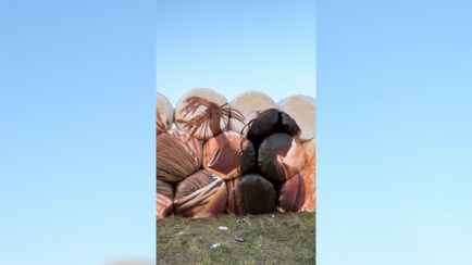 «Наконец-то что-то эстетичное» — Под Гродно собрали из тюков соломы не «паровозики» и не «замки»