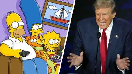 «В Спрингфилде едят собак» — Заявления Трампа вызвали шквал мемов с кадрами из Симпсонов