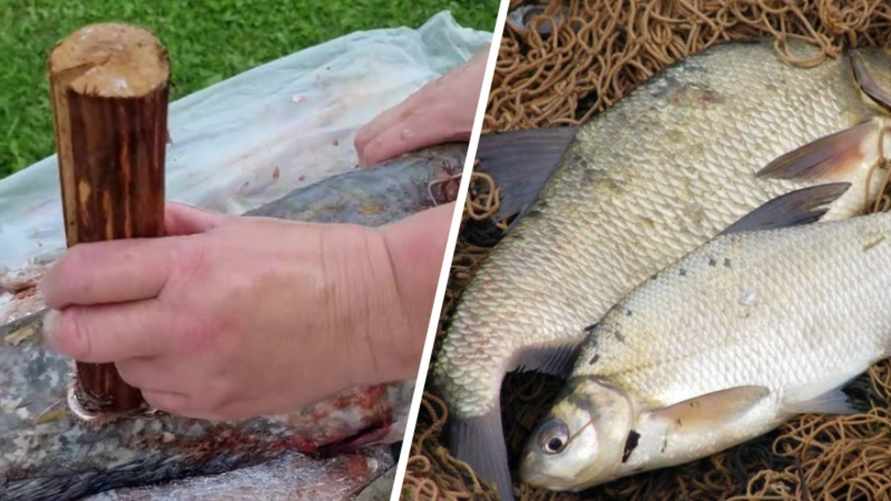 Как быстро почистить рыбу от чешуи? Этот "дедушкин" способ собрал почти миллион просмотров в TikTok