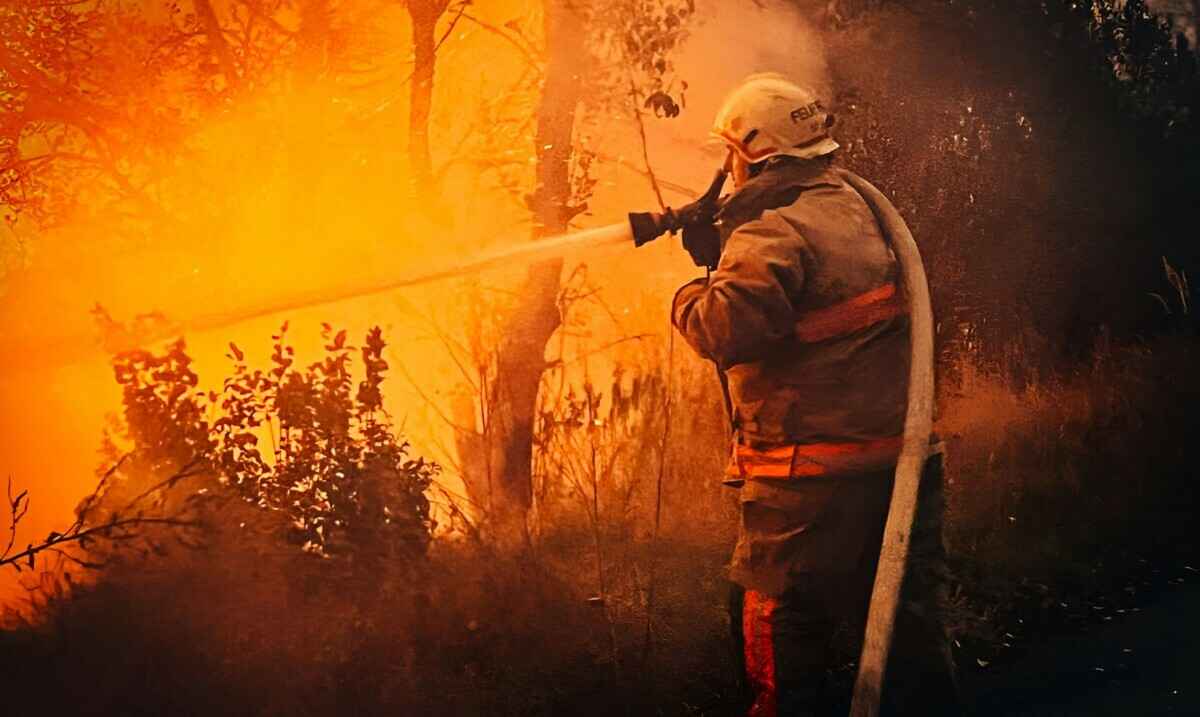 Фото: ГСЧС Украины