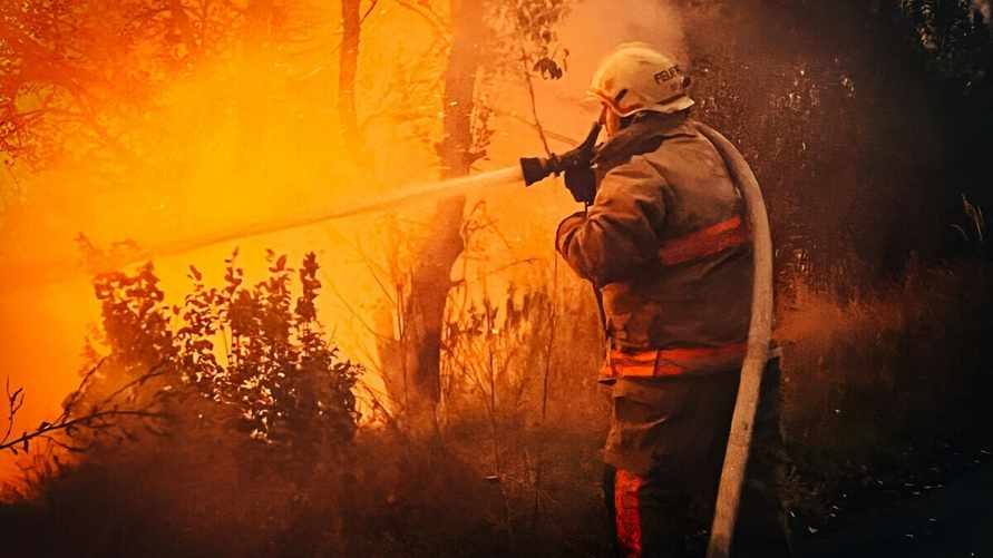 Фото: ГСЧС Украины