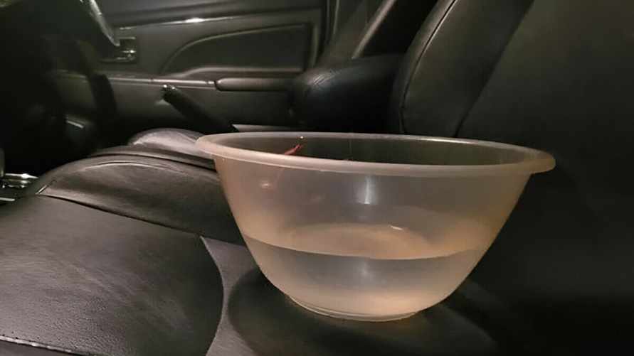 Британских водителей попросили в сентябре возить в машине тазик с водой. А белорусам поможет?