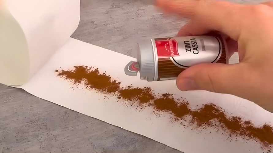 Зачем намазывать корицу с пастой на туалетную бумагу? Вот от чего поможет это самодельное средство осенью