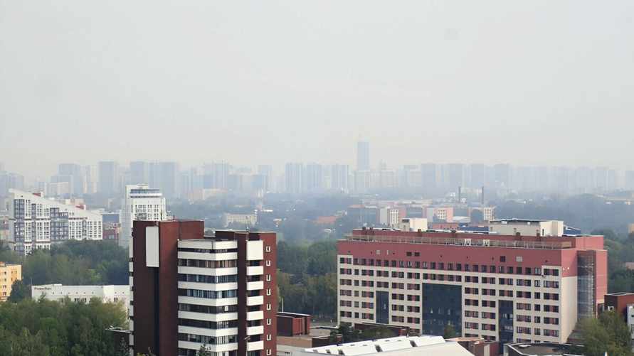 В Белгидромете рассказали, когда в Минске "несколько улучшится" ситуация с дымом и запахом гари