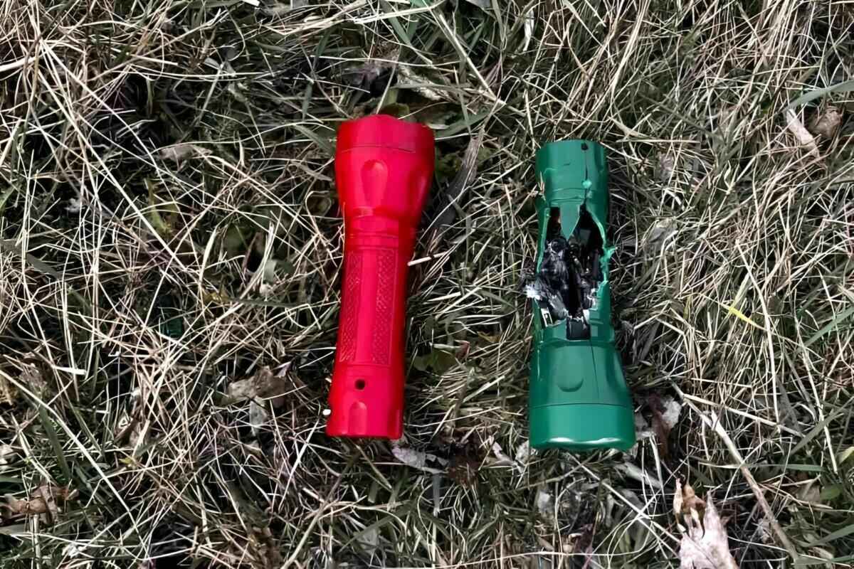 Фото: Telegram-канал #1регион