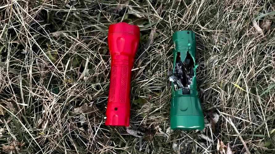 Фото: Telegram-канал #1регион