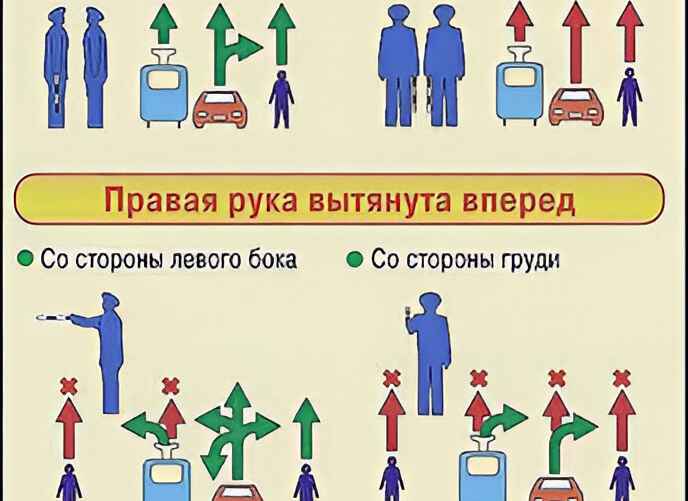 Фото: телеграм-канал "УВД Минского облисполкома"