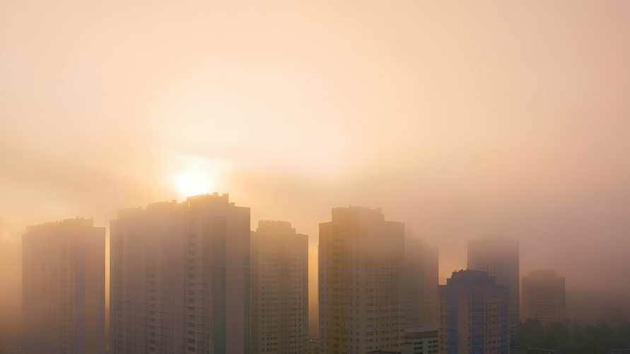 Фото носит иллюстративный характер